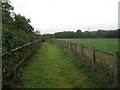 Footpath beside the A2070