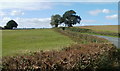 Edge of a field adjacent to bends in Usk Road