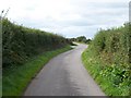 Approaching the turnoff for Trefgraig Bach Farm