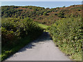 Lane to Tan-y-coed-isaf farm