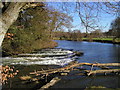 The river weir near the castle at Newcastle Emlyn