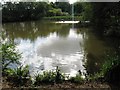 Fish pond at Fishpond House, Beechwood Lane