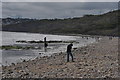 Charmouth : Pebble Beach