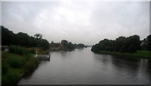 TQ1568 : River Thames downstream from Hampton Court Bridge by N Chadwick