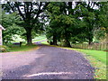 Driveway to Glencarse House