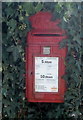 George VI postbox in ivy opposite Ton Cottages, Usk Road