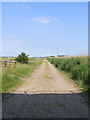 TM4599 : Farm track beside the New Cut by Glen Denny