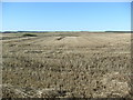 Farmland near Northburn