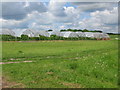 Polytunnels on Woolton Farm