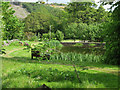 Pond at Balmacara Square