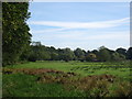 High Mill House in the River Wey floodplain