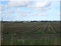 Farmland, Cairnbanno