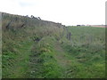 Farm track near Upperton