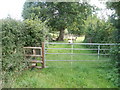 Stile to a footpath with sheep