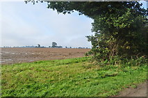 TG2134 : Field Near the Hanworth Cross by Ashley Dace