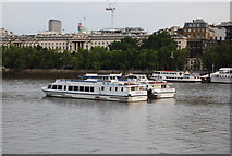 TQ3180 : Pleasure boats on the River Thames by N Chadwick