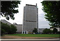 Flats behind Jubilee Gardens