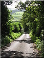 NY8465 : Minor road below Page Croft by Mike Quinn