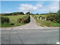 Entrance lane to Little Castle Farm, Usk