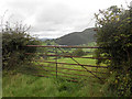 Gate and field above Trewern