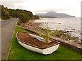 Whiting Bay: floral boat to north of village