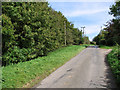 Fen Lane past Chapel Farm