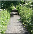 Bridleway to Loughborough