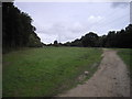 Electricity pylons within Friday Wood Nature Reserve