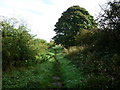 The Dales Way goes past the farm and down the path