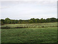 TQ2119 : Old Furze Field by Simon Carey