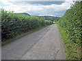 Lane near Llanvetherine