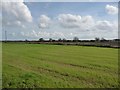 Small field with wire fence