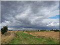TF2832 : Farmland near Sutterton Dowdyke by Stephen Richards