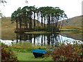 NM7883 : Boat on the bank of Lochan Dubh by Dave Fergusson
