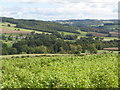 Farmland northwest of Big Axit