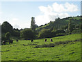 Stream valley east of Bishopsteignton: 1