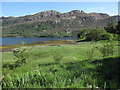 Sgardar, Loch Long