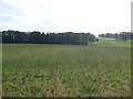 Farmland near Mains of Towie