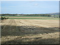 Farmland near Backhill of Seggat