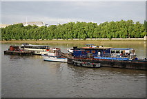TQ3079 : A selection of boats moored on the River Thames by N Chadwick