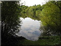 Reflections on New Pond