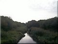 Afon Rhyd-hir below Pont y Garreg-fechan