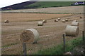 Hay bales at  Horraldshay