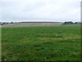 Farmland near Pitgair