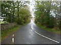 B9105 towards Fintry