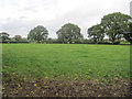 Farmland near Trepenal