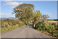 Road from Essich to Inverness