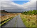 G8299 : Road at Derrylaoghan by Kenneth  Allen