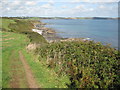 Coast path south of Portscatho