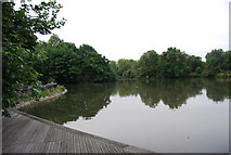 TQ2877 : Battersea Park - lake by N Chadwick